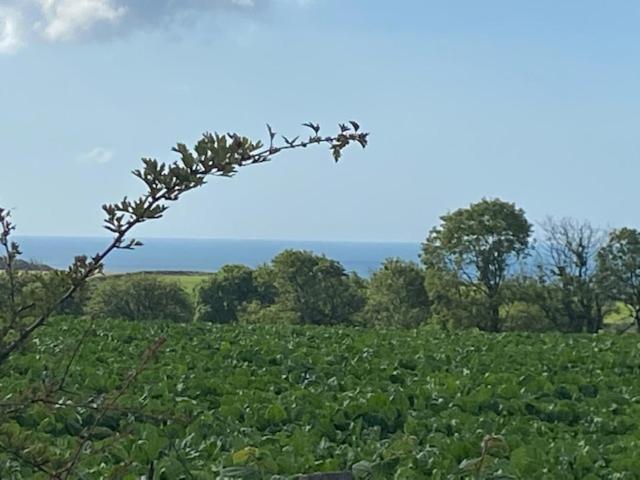 Elidyr Cottage - 3 Bedroom Cottage - Amroth Luaran gambar